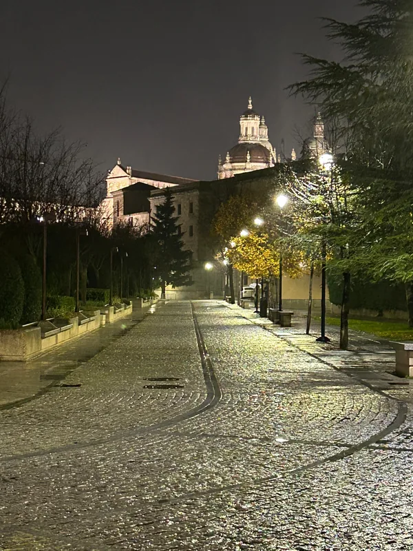 Calle empedrada y mojada de Salamanca de noche, con faroles encendidos y cúpulas iluminadas al fondo